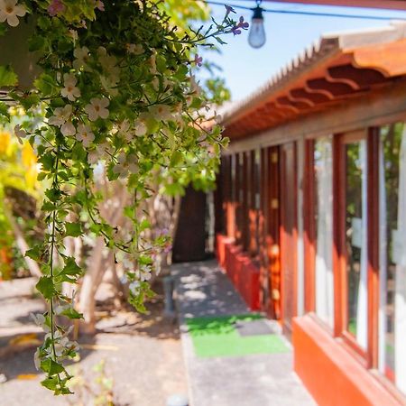 El Rincon Del Huroncillo Tejina Exteriör bild